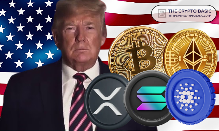 特朗普首次內(nèi)閣會(huì)議與比特幣暴跌，一場(chǎng)特殊的金融對(duì)話