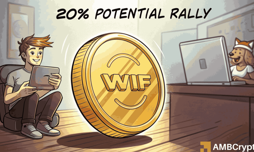 WIF價格面臨風險，因為Dogwifhat外匯流入增加，聰明的錢賣出
