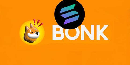 本周關注的Memecoins：BONK，FARTCOIN，NOBODY
